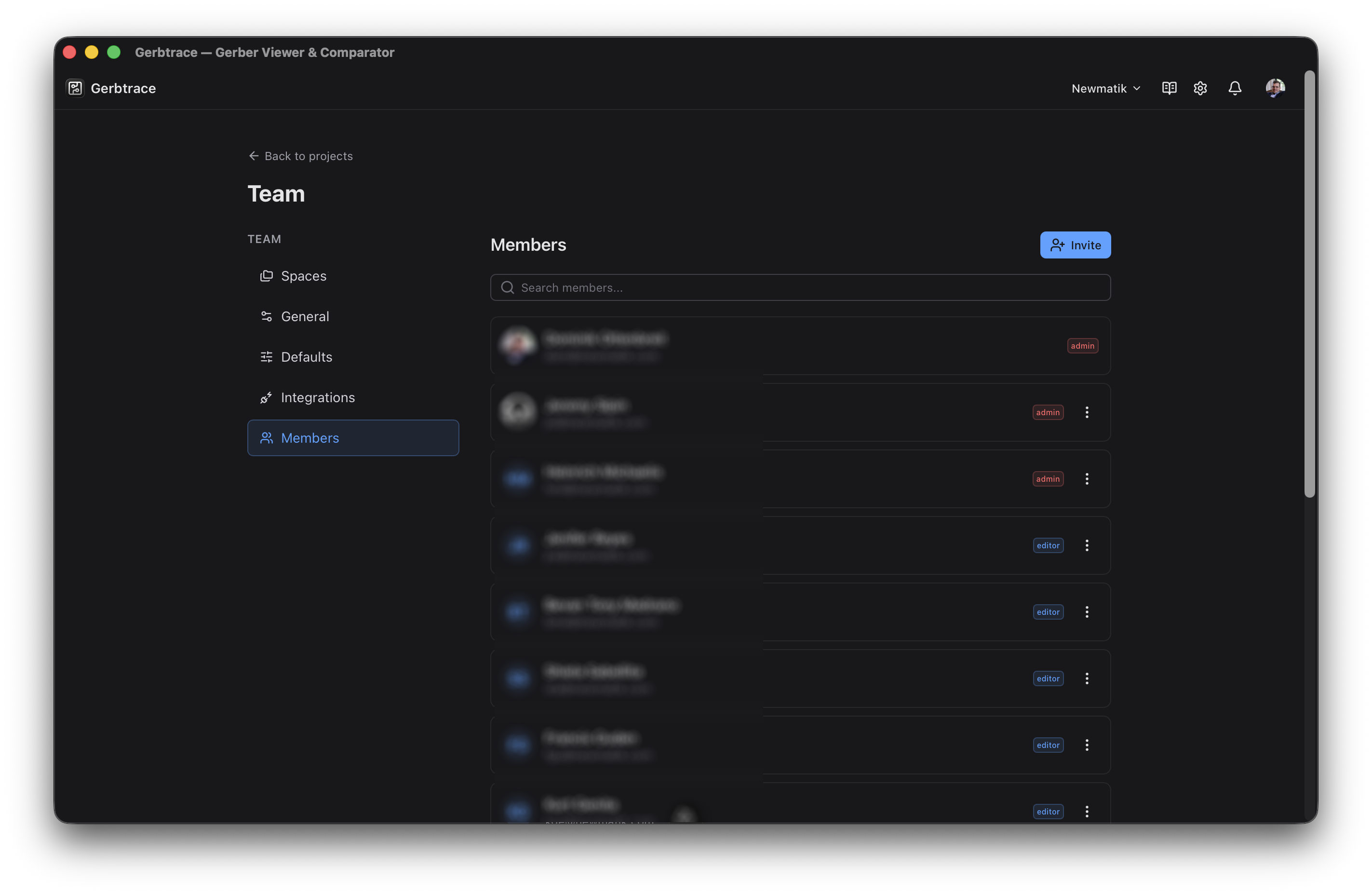 Team Members page showing member list with roles